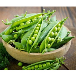 Gói 20g hạt giống đậu hà lan trái hn