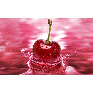 SON HỮU CƠ LAVERA WILD CHERRY 14