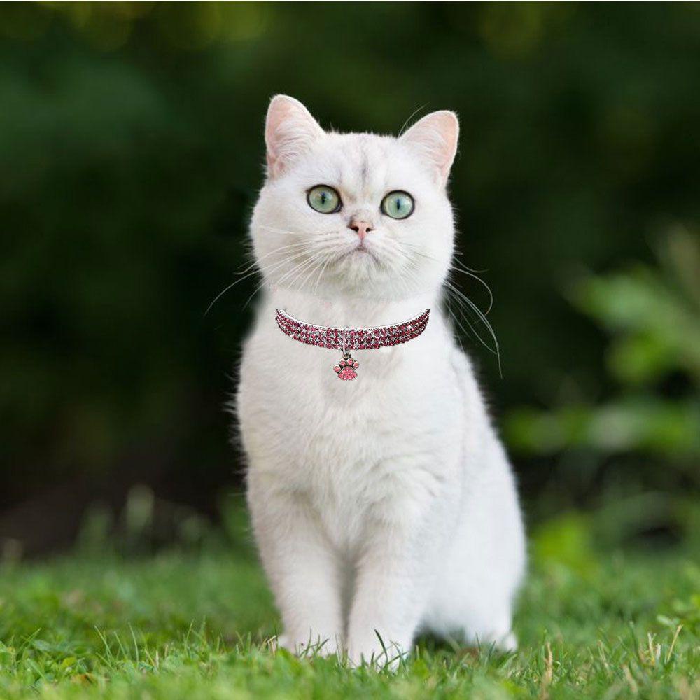 LAYOR1 Vòng Cổ Nhiều Kiểu Dáng Thời Trang Cho Thú Cưng