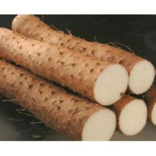 Sỉ toàn quốc giá rẻ củ mài hoài sơn 100g - 200g