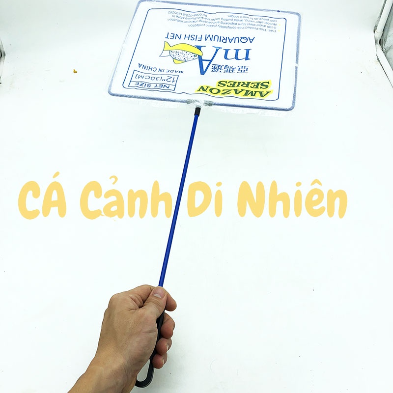 Vợt bắt cá thủy sinh AMAZON SERIES cán nhựa xanh SIZE 12 30 cm cho hồ cá