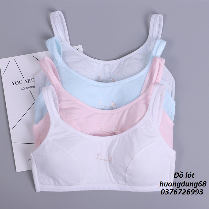 Bra / Áo Lá Nũ Sinh Cotton Hai Lớp Xuất Đông Âu ( AL : 199 ) Hàng Loại Đẹp.