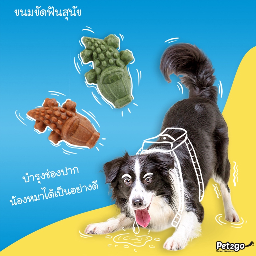 Crocgy Pet2go 🐶 FREE SHIP 🐶 Xương Gặm Cá Xấu Sạch Răng 18-63g