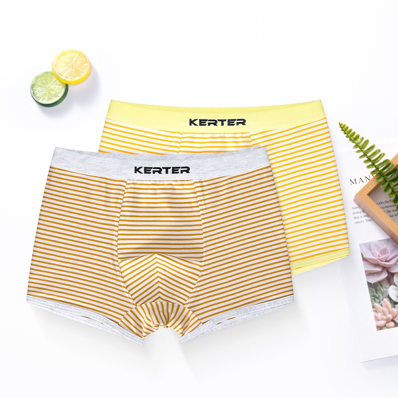 Bộ 2 Quần Lót Boxer Cotton Thời Trang Cho Bé Trai