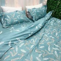 Bộ chăn ga cotton poly