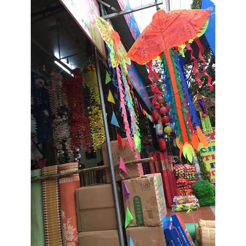 combo 50 diều các loại
