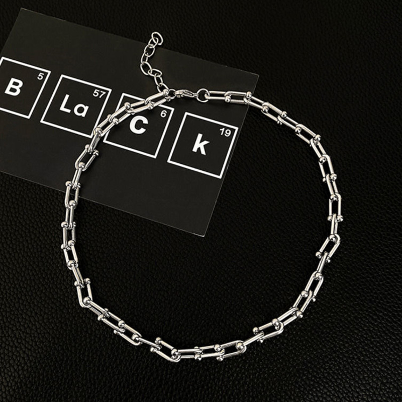 Vòng cổ thép titan dạng chuỗi xích cá tính
