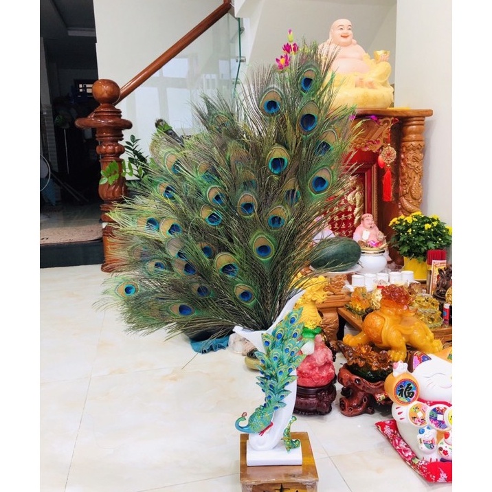 Bình lông công Lộc phát trang trí chất liệu composite cao 38cm
