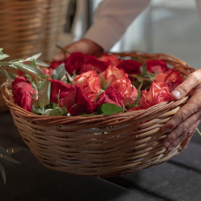 Mặt nạ ngủ chiết xuất hoa hồng dại 𝐊𝐨𝐫𝐫𝐞𝐬 𝐖𝐢𝐥𝐝 𝐑𝐨𝐬𝐞 𝐕𝐢𝐭𝐚𝐦𝐢𝐧 𝐂 𝐁𝐫𝐢𝐠𝐡𝐭𝐞𝐧𝐢𝐧𝐠 𝐒𝐥𝐞𝐞𝐩𝐢𝐧𝐠 𝐅𝐚𝐜𝐢𝐚𝐥 𝟒𝟎𝐦𝐥