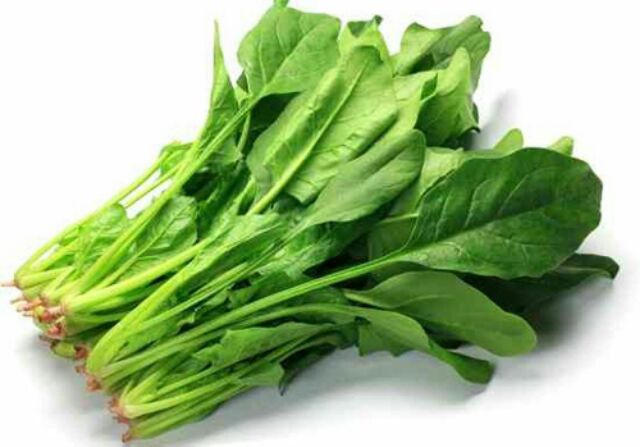 Hạt giống Cải bó xôi chất lượng