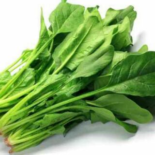 Hạt giống Cải bó xôi chất lượng