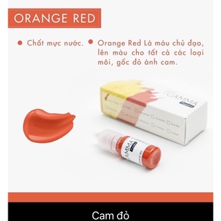 [CHÍNH HÃNG] Mực Gamma mini 3,3ml, Fullsize 10ml