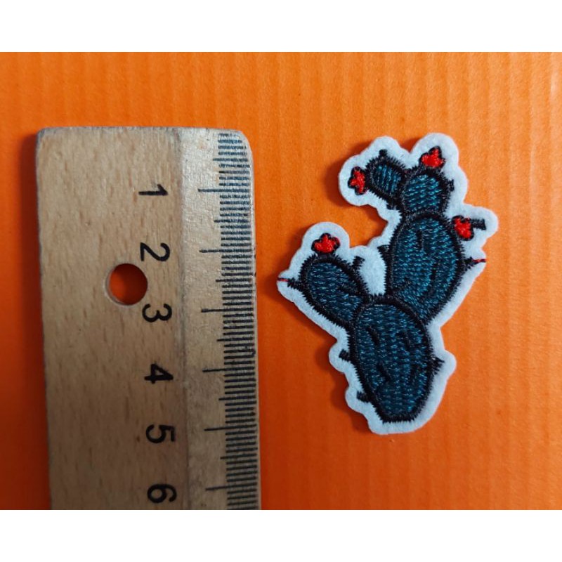 Hình ủi xương rồng mini trang trí