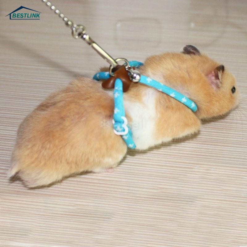 Dây Dẫn Chuột Hamster Đi Dạo Tiện Lợi