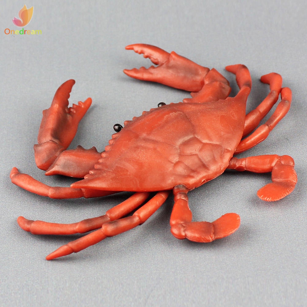 Đồ Chơi Mô Hình Con Cua Sống Động Cho Bé