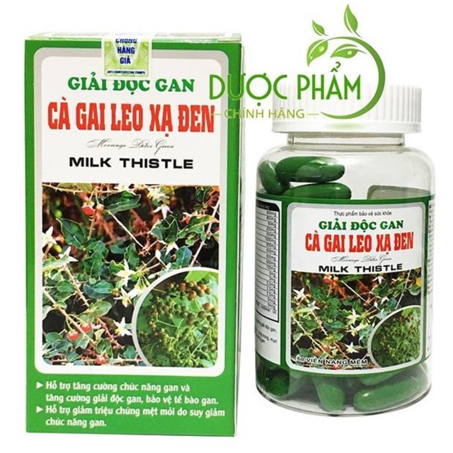 GIẢI ĐỘC GAN CÀ GAI LEO - XẠ ĐEN Milk Thistle 60 Viên - Giúp bổ gan, bảo vệ tế bào gan, giải độc gan.