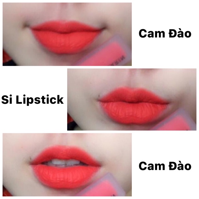 [ CHẤT XỊN - MÀU ĐẸP - GIÁ SALE SỐC ] Son Handmade Si Lipstick Siêu Lì, Mềm Môi, Không Lem, Không Trôi, 20 Màu Siêu Hot | BigBuy360 - bigbuy360.vn