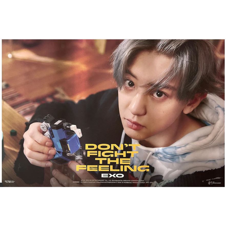 #MéoStore Poster Kpop EXO chính hãng có ống tube nhựa bảo vệ hàng có sẵn | BigBuy360 - bigbuy360.vn