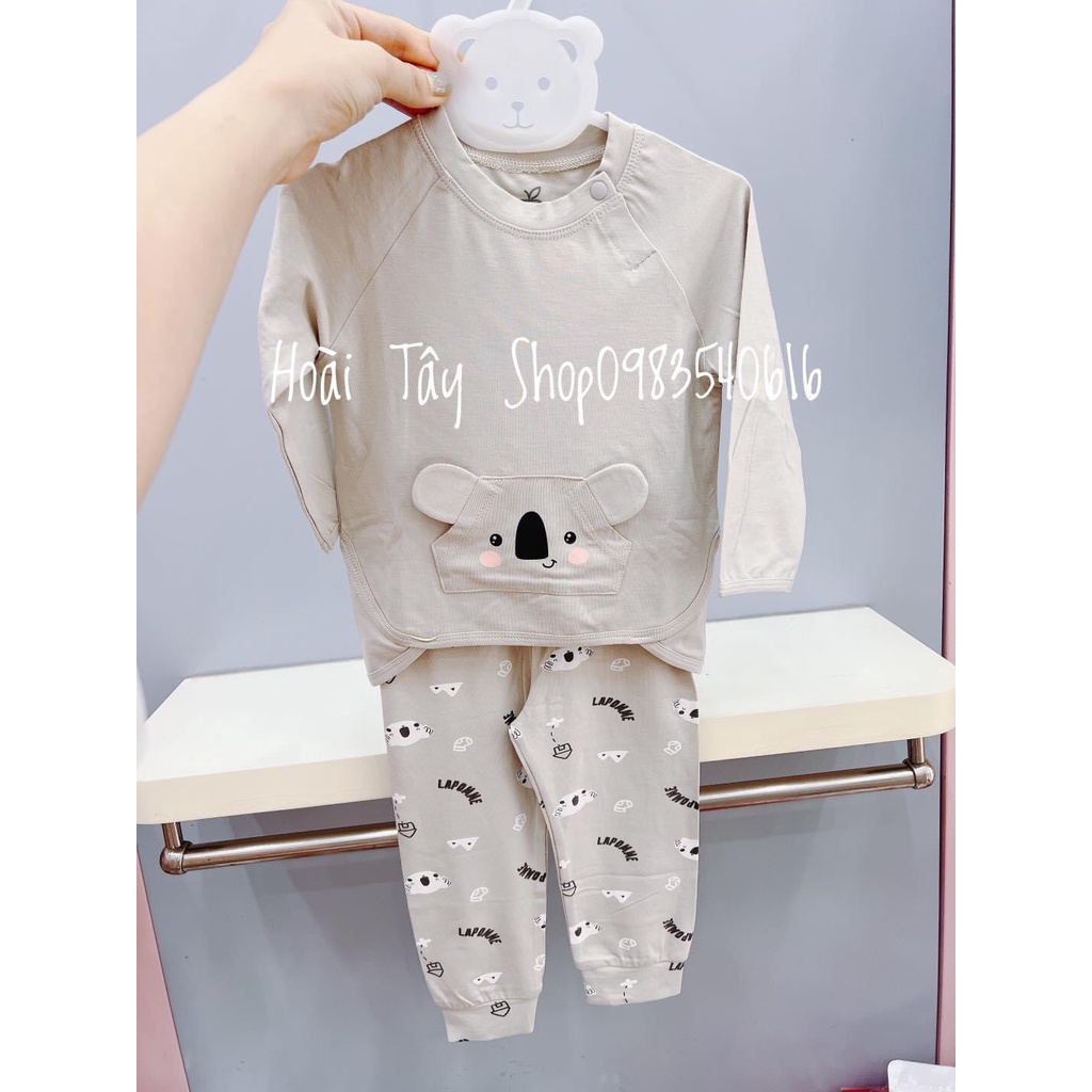 BỘ DÀI KOALA TINH NGHỊCH