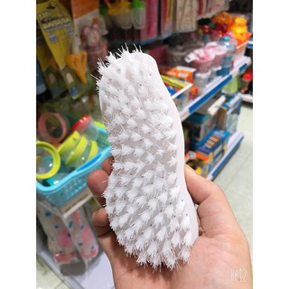 BÀN CHẢI CỌ RỬA HÌNH CỦ LẠC