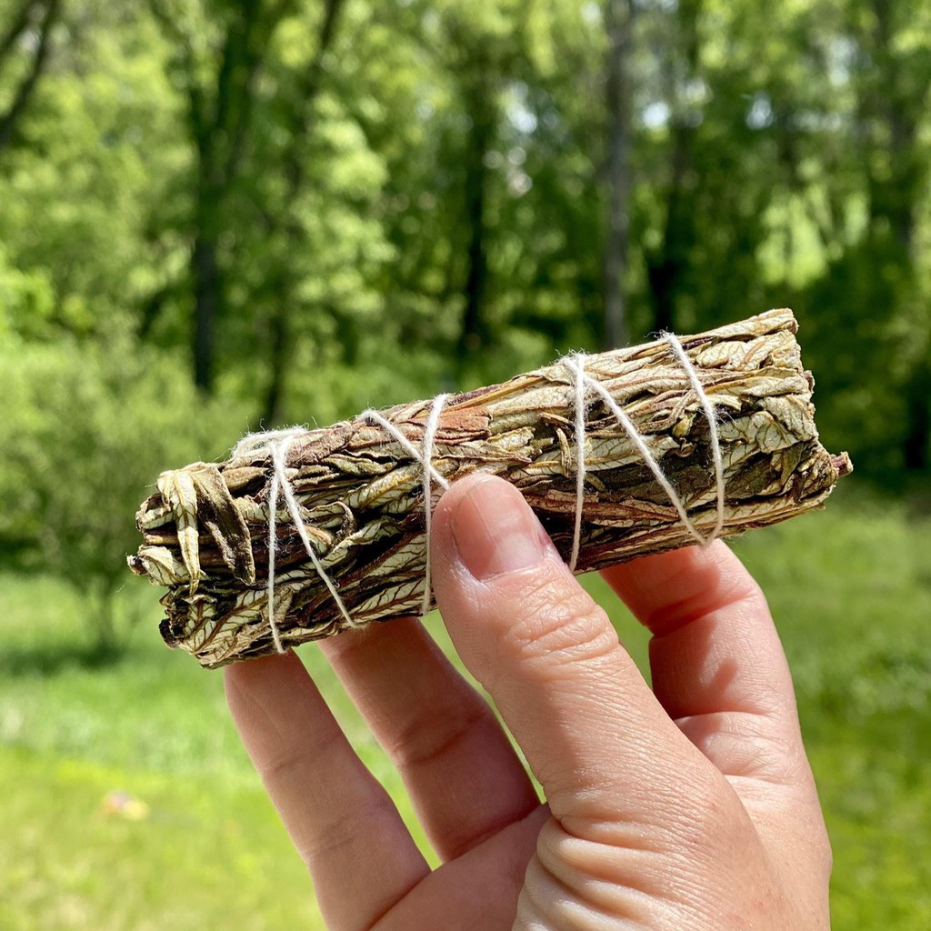 YERBA SANTA THÁNH THẢO DƯỢC Bảo vệ, Chữa lành, Thiết lập ranh giới, lòng dũng cảm - THẢO MỘC XÔNG NHÀ