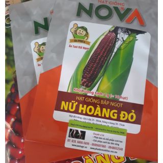 Hạt giống ngô Nữ Hoàng đỏ có thể ăn ngay không cần nấu