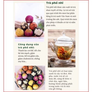 Set 15 viên Trà phổ nhĩ nở hoa Trà mẫu đơn cúc vàng cúc trắng hoa bách hợp hoa hồng hoa nhài_trathaomocvivi
