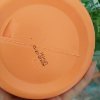 Hấp Dầu Tinh Chất Dừa Alenka 1000ml
