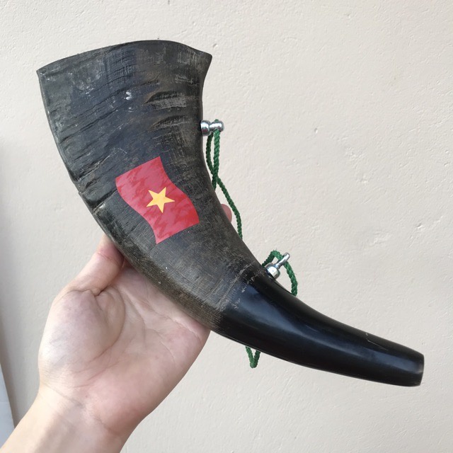 Kèn tù và sừng - Cổ vũ tinh thần thể thao Việt Nam - Tiếng kêu rất vang