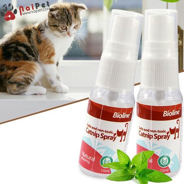 Catnip Dạng Xịt Cỏ Bạc Hà Dạng Xịt Cho Mèo Catnip Spray Bioline 15ml