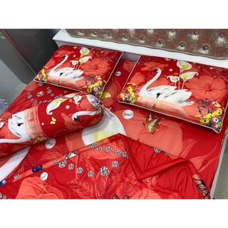 Drap thun lạnh 5D cao cấp ( 3 màu)