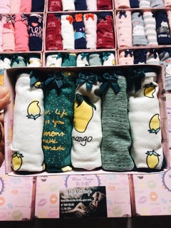 SET HỘP 5 QUẦN CHIP COTTON