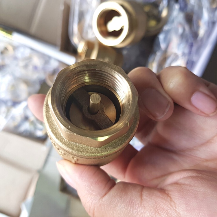 Van Đồng 1 Chiều Van lò Xo 1 Chiều Minh Hoà Đủ Kích Cỡ