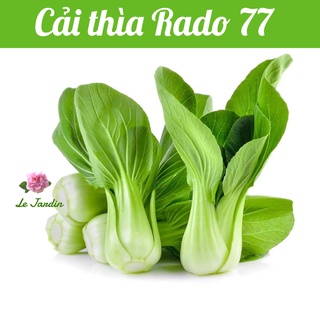 Hạt giống cải thìa rado 77 gói 20gr - dễ trồng