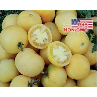 Hạt Giống Cà Chua - Trắng Bi (Solanum Lycopersicum)