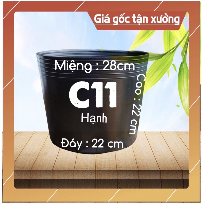 [ Sỉ từ 20 cái ] Chậu nhựa C11