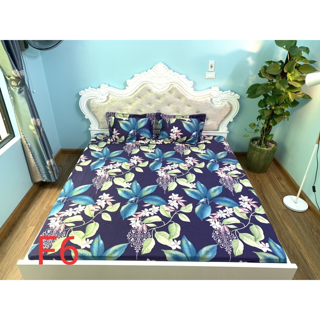 Bộ ga chun cotton 100% Hàn Quốc [ 1m6 x 2m, 1m8 x 2m, 2m x 2m2 ]