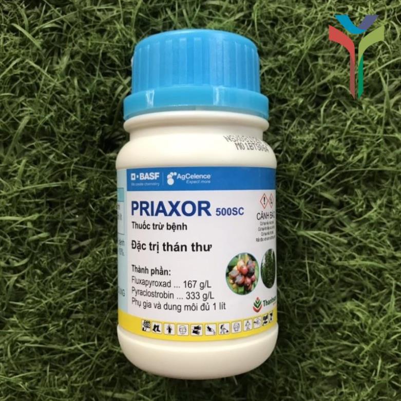 PRIAXOR 500sc 100ml - Sản phẩm của ĐỨC, chuyên bệnh thán thư