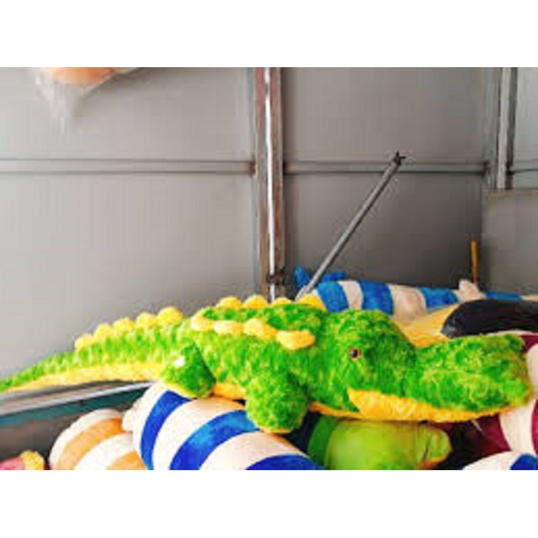 cá sấu 2 gai kích thước 85cm đến 130cm