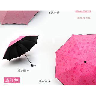 Ô gấp “Gặp nước Nở Hoa”