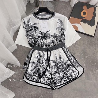 Set bộ cây dừa cotton lụa siêu hit hot - S59