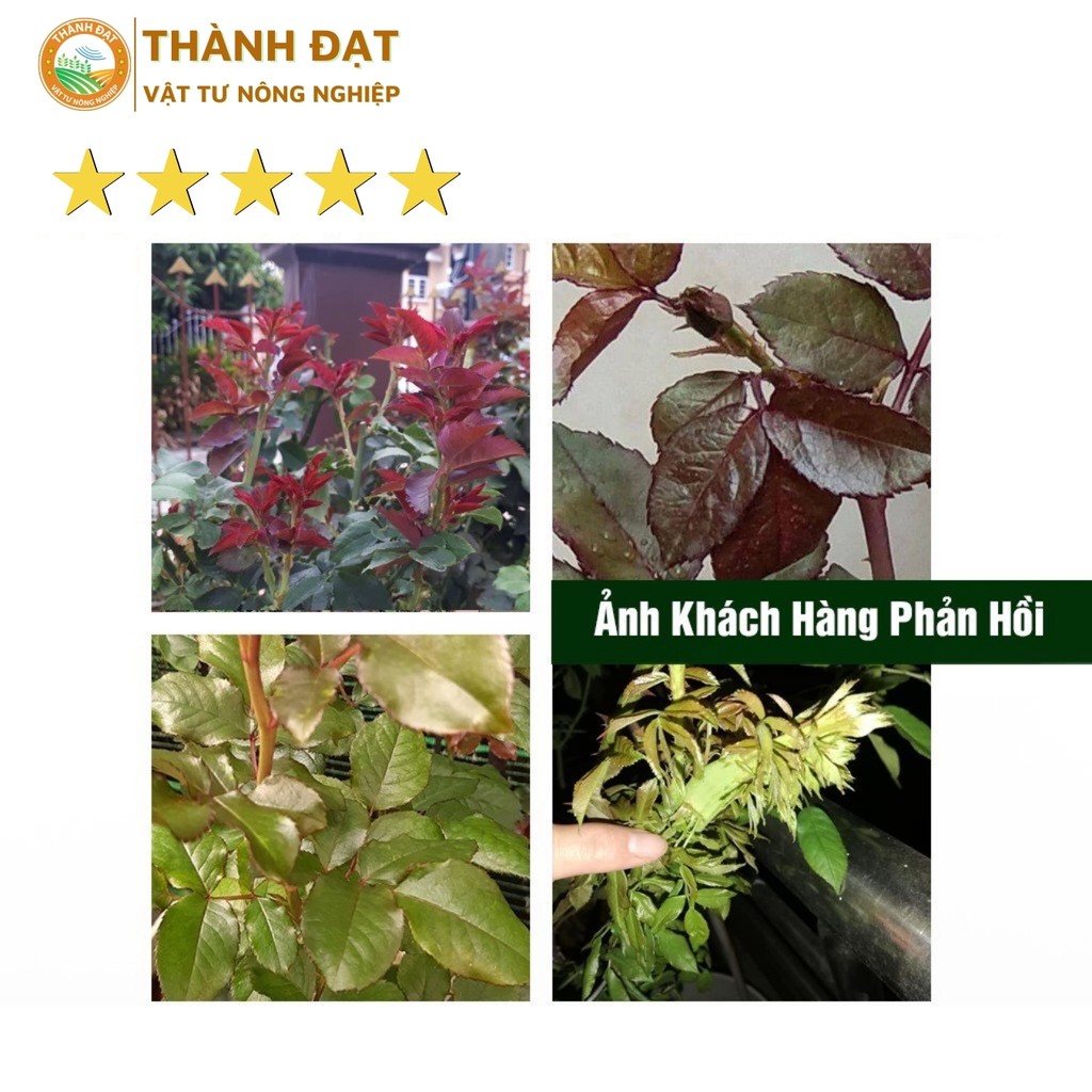 Phân trùn quế hạt mận Vernuts dùng cho hoa lan và hoa hồng