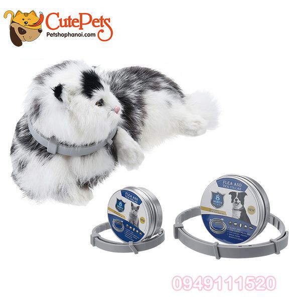 Vòng cổ chống ve rận cho chó mèo Flea And Tick Collar - Phụ kiện chó mèo Hà Nội