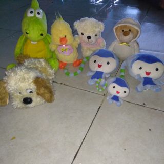 Gấu của bảo tú