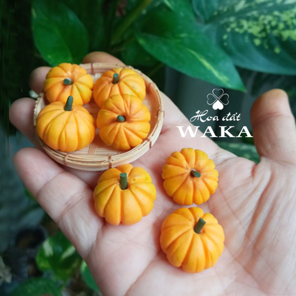 Mô hình 1 Trái Bí Đỏ Mini- Rau Củ Quả Mini 1/12