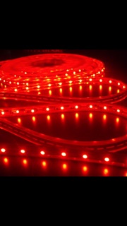 Bộ 10m led cùng zắc 220v