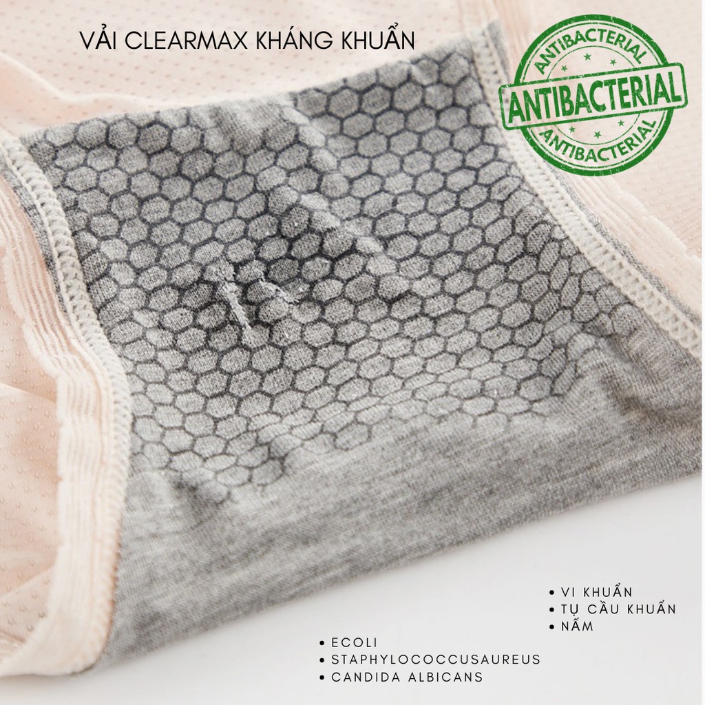 [Mã SKAMCLU7 giảm 10% tối đa 50K đơn 0Đ] Quần chip bầu Icesilk kháng khuẩn - công nghệ Quick Dry- Snugg | BigBuy360 - bigbuy360.vn