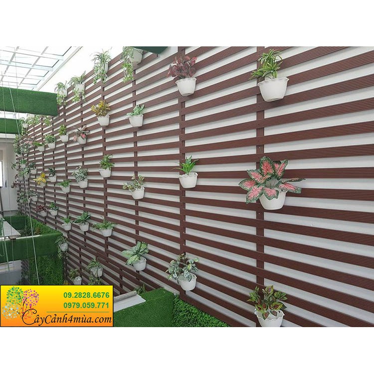 Chậu Ốp Tường- Chậu Nhựa Bán Nguyệt Viền Tim ⚡ XẢ KHO ⚡Siêu Bền, Siêu Đẹp Kèm Tấm Lót Đáy Tránh Ngập Úng Cây