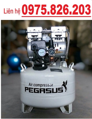 Máy nén khí pegasus 0.75hp tm-of550-40l, máy nén khí pegasus 40 lít, 0.75hh không dầu