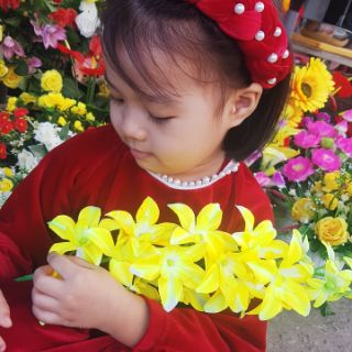 Áo dài nhung đỏ kèm mấn